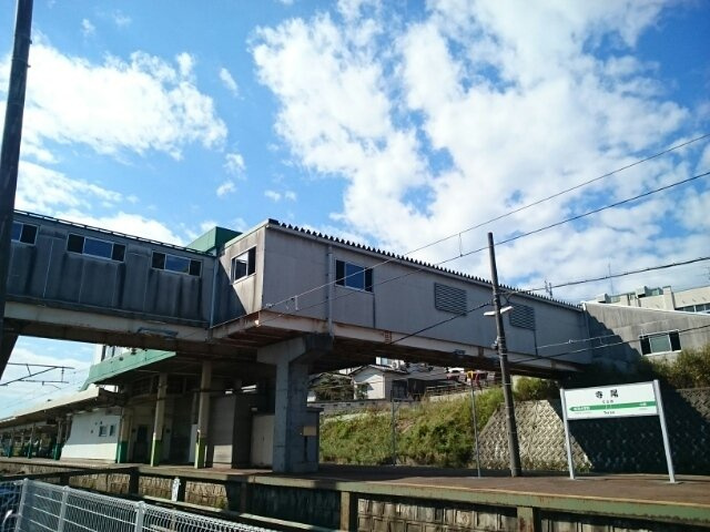 プラム　アライブの周辺|寺尾駅まで1100m