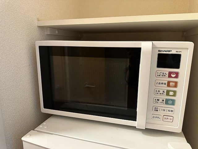 レオパレスリバーサイド晶栄のその他