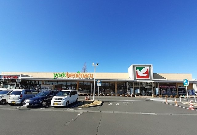 イーストウィン水野Ａの周辺|ヨークベニマル東大島店まで610m
