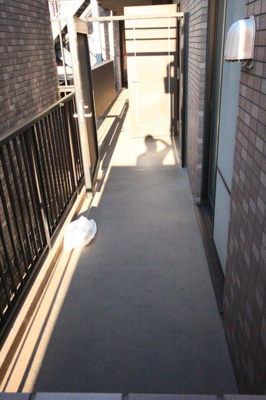 【その他共用部分】 | ルピナス大宮桜木町