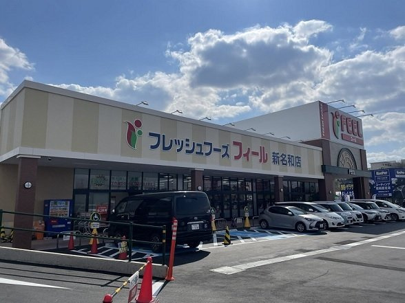 ニュー平地の周辺|フィール新名和店まで850m
