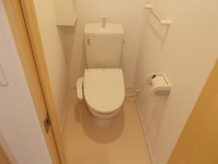 落ち着いた色調のトイレです