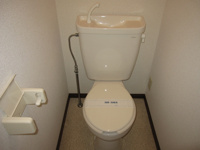 落ち着いた色調のトイレです