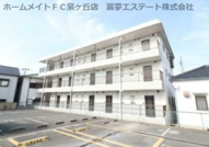 グレイス白鷺の画像