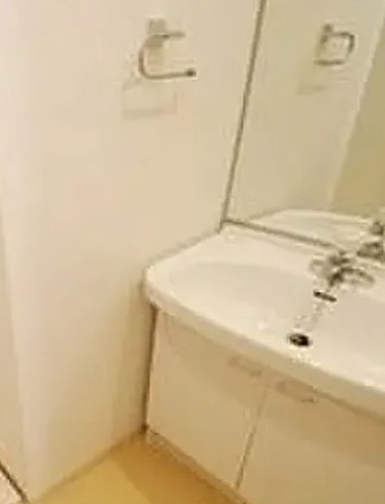 プレミアステージ駒込の洗面所