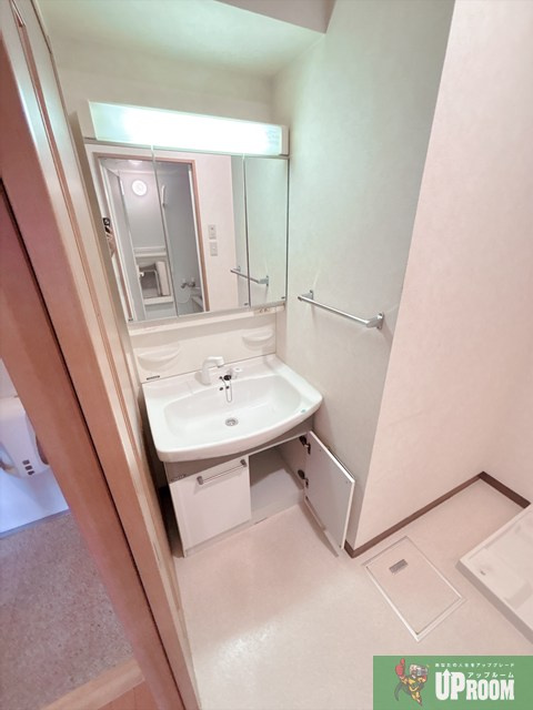 レージュ栄の独立洗面台