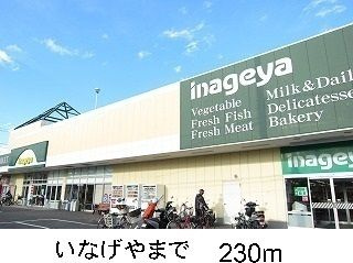 【その他】 | マヤ・カミーユ