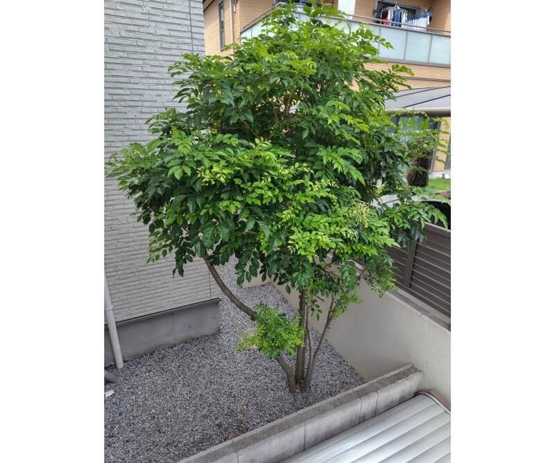 アットリラ稲毛海岸Ａの設備