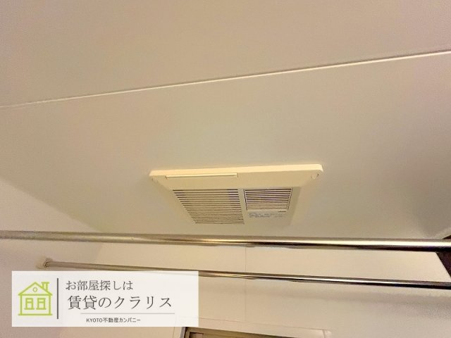 グレイス桂