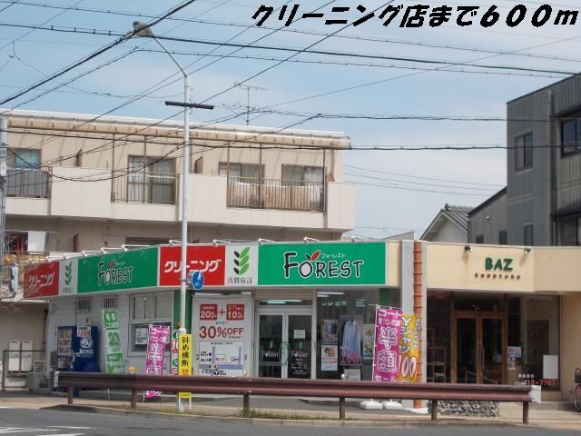 花水木の周辺
