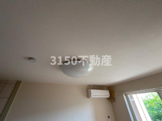 サンコート　ブロッコリーの設備|照明