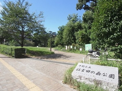 【周辺】 | 中野区江原町1丁目　宅地分譲　11590万円 | 江古田の森公園