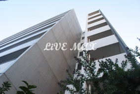 PORTO PARTIRE YOKOHAMAの画像