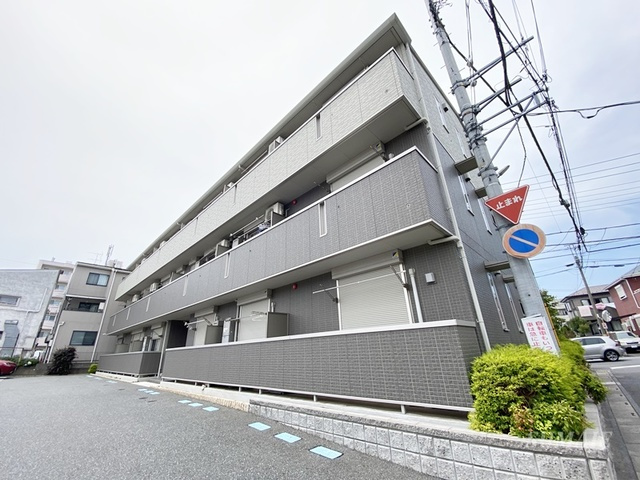 Lobellia  TORO　Ⅰ