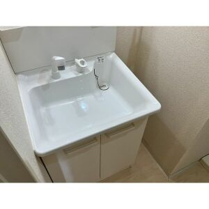MZ・ESTATE IIの洗面所