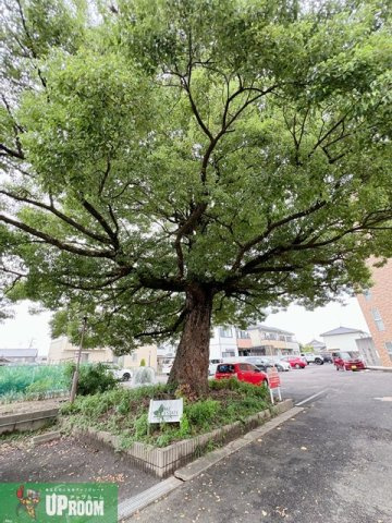 MZ・ESTATE IIのその他