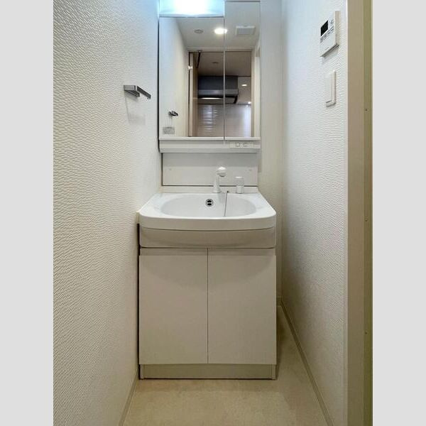 S-RESIDENCE新大阪Ridenteの洗面所