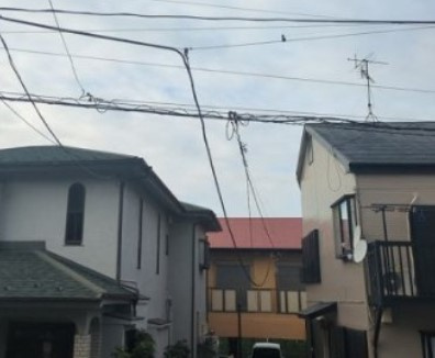 ベルピア馬堀海岸の展望