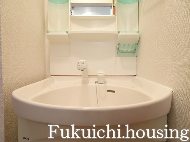グリシーヌ経堂Ａの洗面所