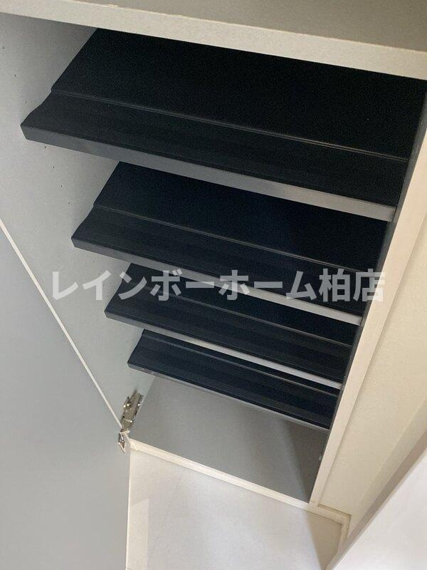 特典：仲介手数料が半額です!!の玄関|明るい玄関です
