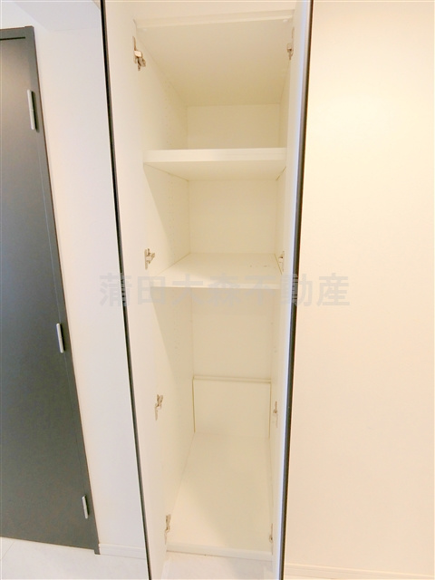 B CITY APARTMENT TOKYO SOUTH(ビーシティアパートメントトーキョーサウスの収納|廊下の棚収納