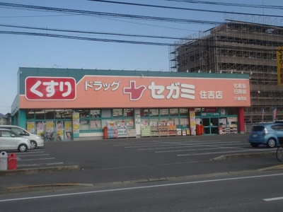 【周辺】 | ブエナ・ビスタ | セガミ徳島住吉店さんまで900m