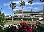 レオネクストときわ公園の周辺