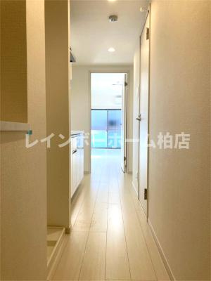 【仲介手数料：50％OFF】対象物件！の玄関|明るい玄関です