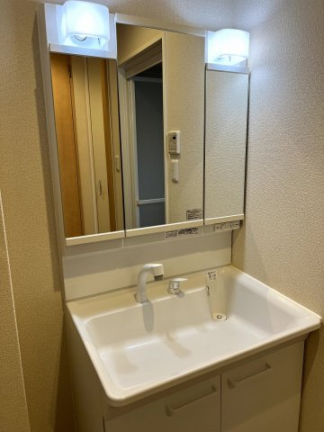 レクシエ南王子の洗面所