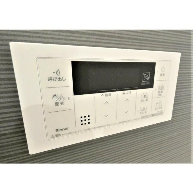 ステラ　アフィーテのその他