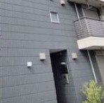 Ｖｉｌｌａｇｅ　Ｐｒｉｎｔｅｍｐｓ　Ｋｏｉｗａのその他