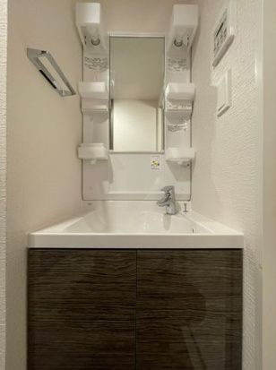 DIPS赤羽RESIDENCEの洗面所