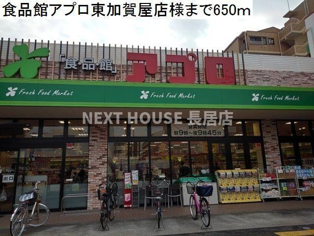 プリムローズのその他