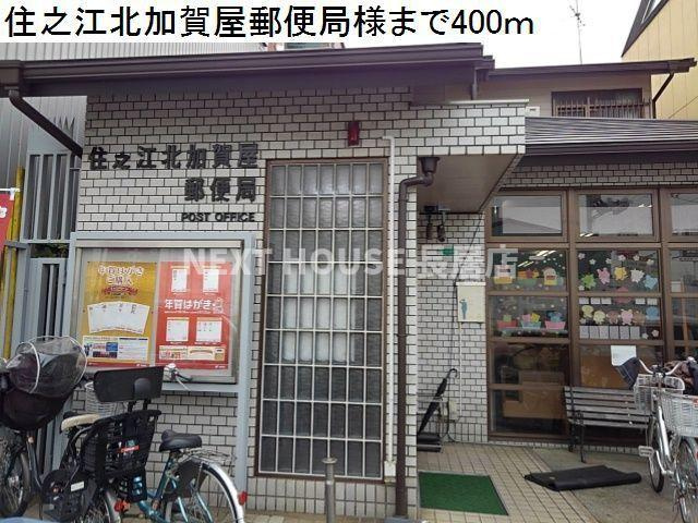 プリムローズのその他