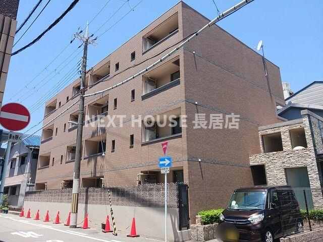 イーリス　ウィステリア