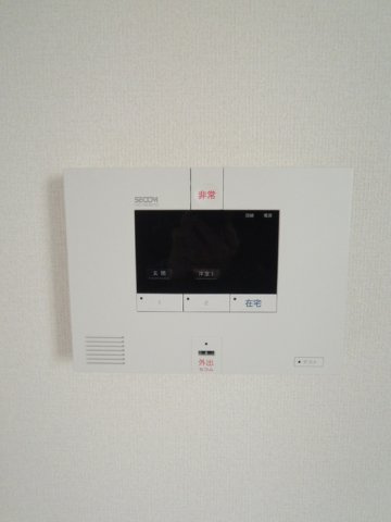 セレッソYP