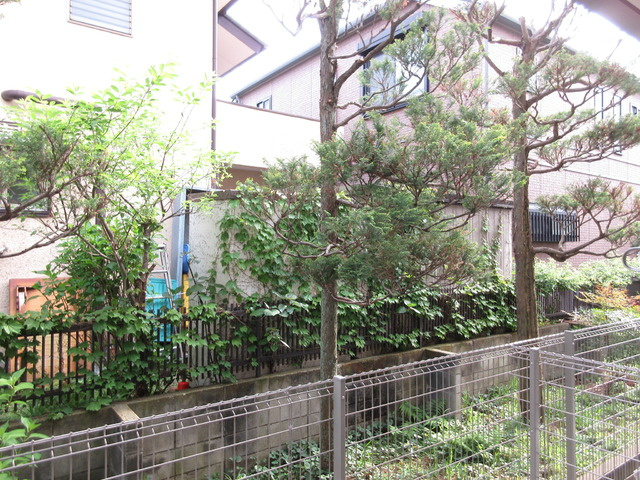 BORIKI　しゃくじい公園　南棟の展望|☆眺望☆