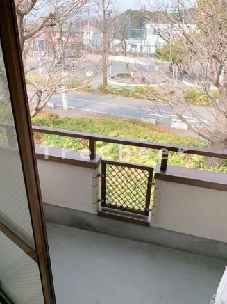セイントパークの展望