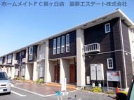 ミディの画像