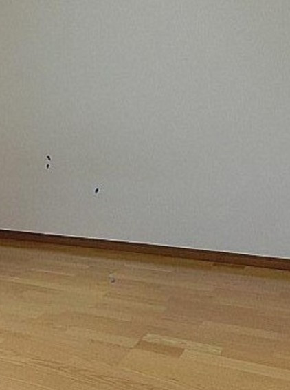 ヴァレッシア荻窪シティの寝室