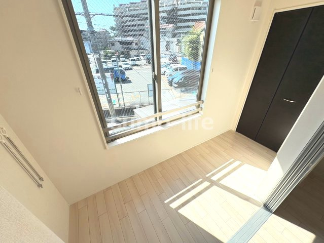 プラシッド　ピュールのその他