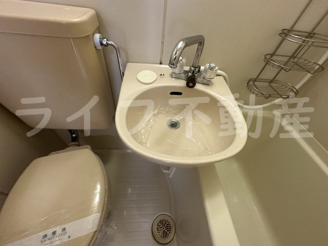 グローバル八戸ノ里Ⅱの洗面所