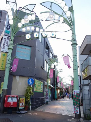 フェリスコットンの周辺
