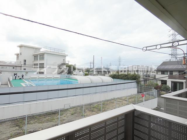 ステラの展望
