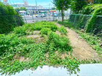 【庭】 | 日商岩井リバーサイドマンションA棟☆仲介手数料無料☆ | ガーデニングや家庭菜園、お天気の良い日のティータイムなど、おうち時間を豊かに彩る専用庭。マンションの利便性を享受しながら、戸建てのような開放感と四季の移ろいを感じられる特別な空間です。