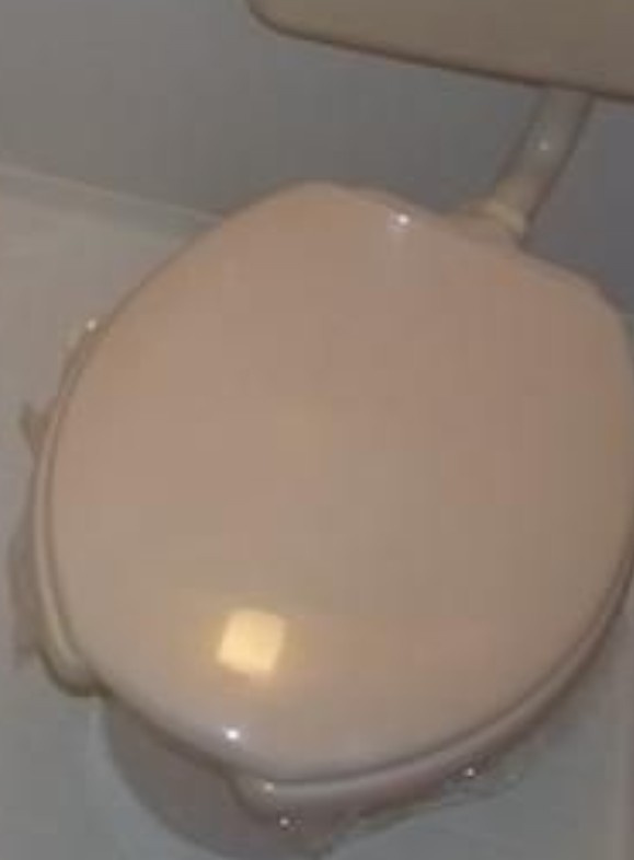 シュテルン和光のトイレ
