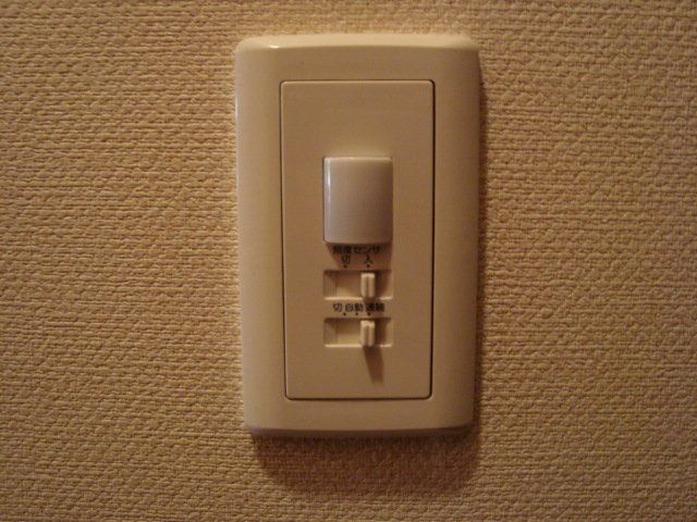 ロンジェヴィータのその他