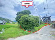 糟屋郡須恵町大字佐谷土地の画像