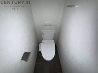 落ち着いた色調のトイレです