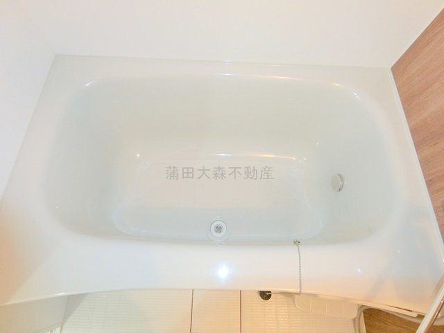 LUORE(ルオーレ千鳥町の浴室